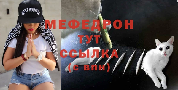 ГАЛЛЮЦИНОГЕННЫЕ ГРИБЫ Верея